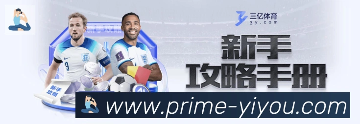 易游体育荣誉
